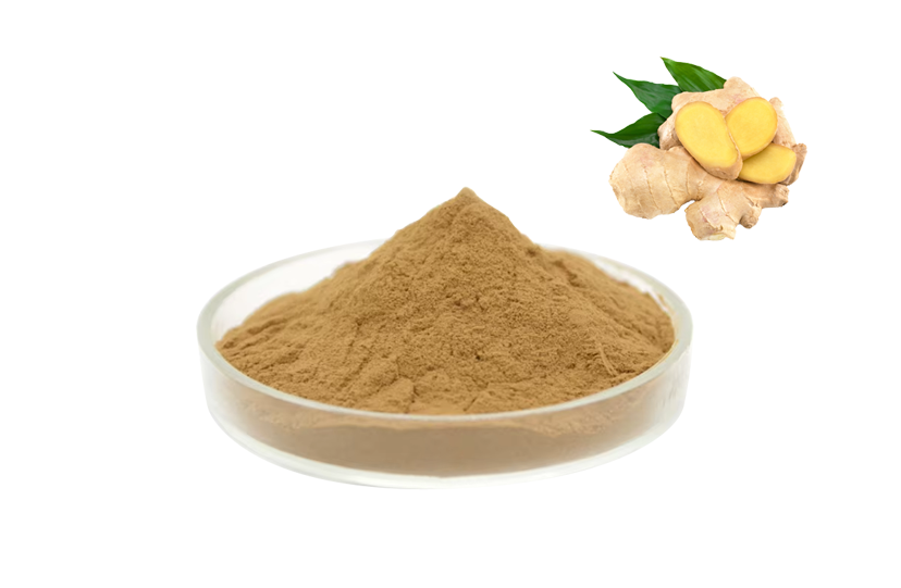 Gingerol Extract Powder